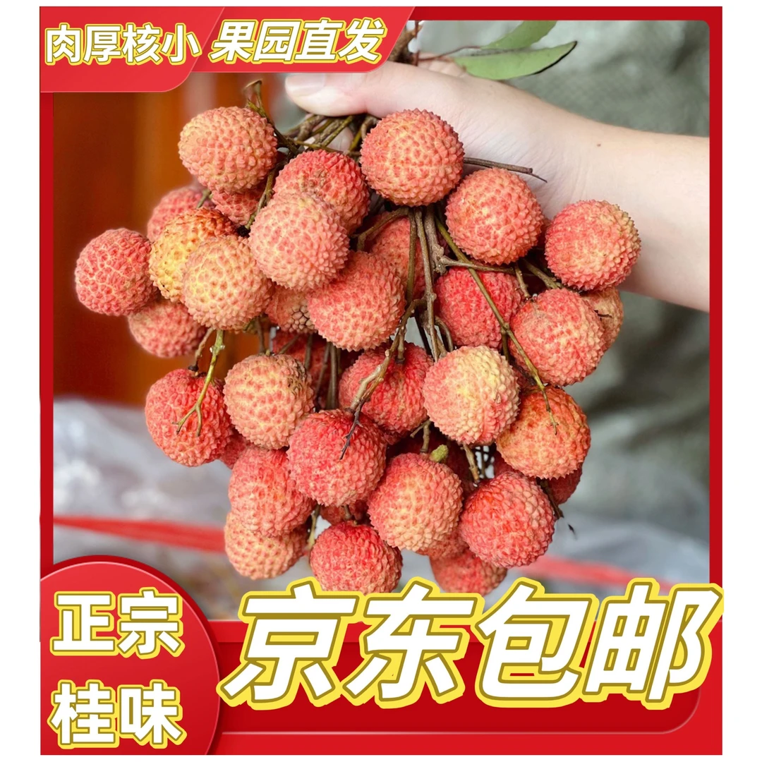 [京东包邮]广东惠州横沥荔枝 桂味 糯米糍 砸死牛 4.5斤/8斤