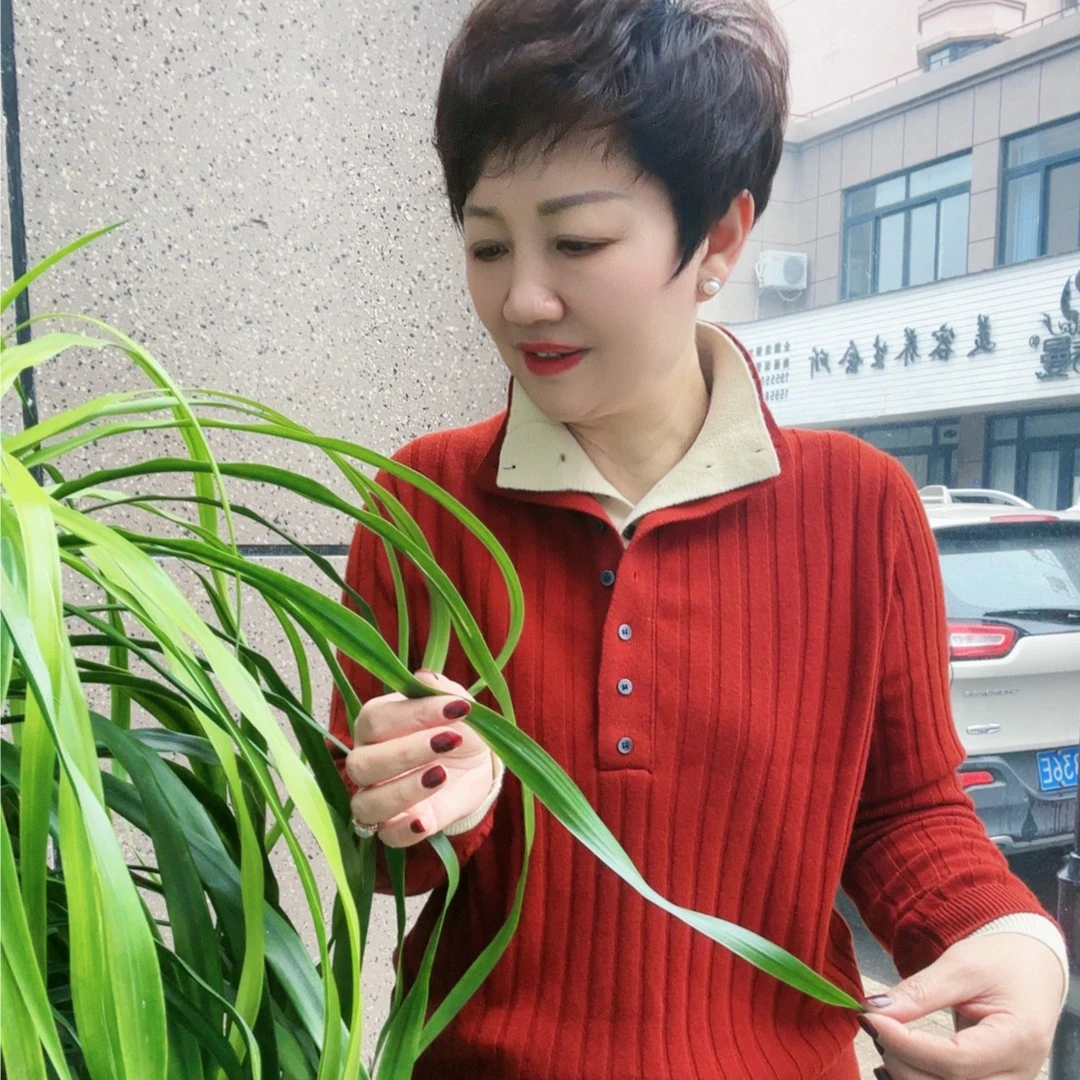 【十斤姐姐】3233双色假两件针织打底衫时尚百搭羊毛衫