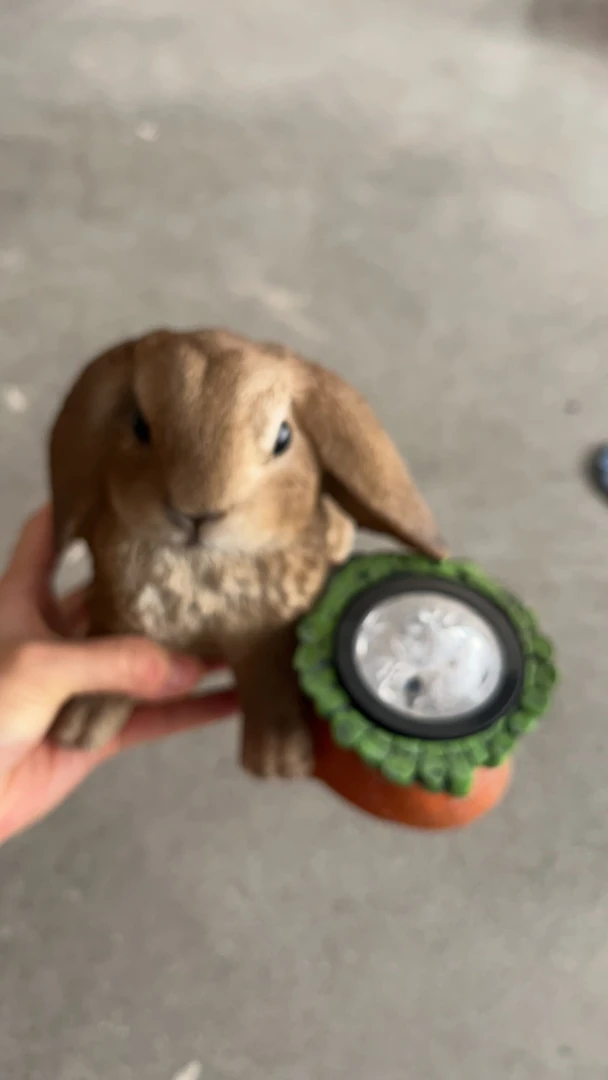 塌耳朵兔子摆件（不亮）