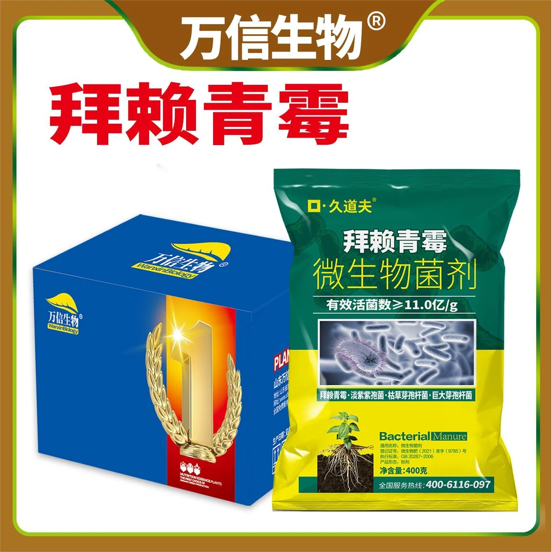 拜赖青霉抑制根腐病作物枯萎病猝倒病霜霉病减轻土壤农资盐碱化