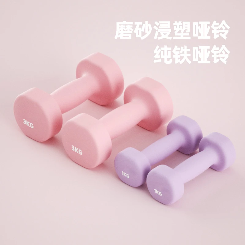 【艺博专享】纯铁实心小哑铃女士健身塑形开肩美背训练家用健身器材