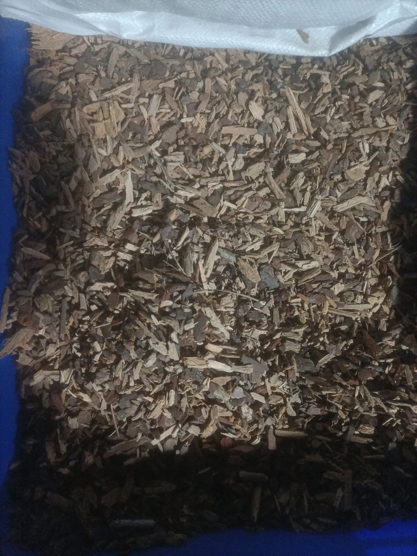 中颗粒兰花植料。营养好不烧根不腐苗