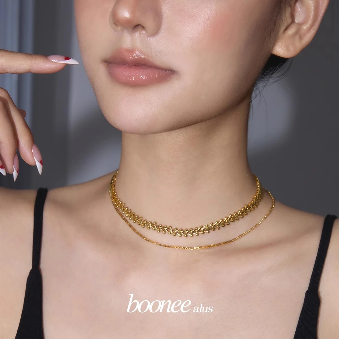 boonee alus 铜合金项链 高级感双层叠戴ins百搭项链时尚锁骨链