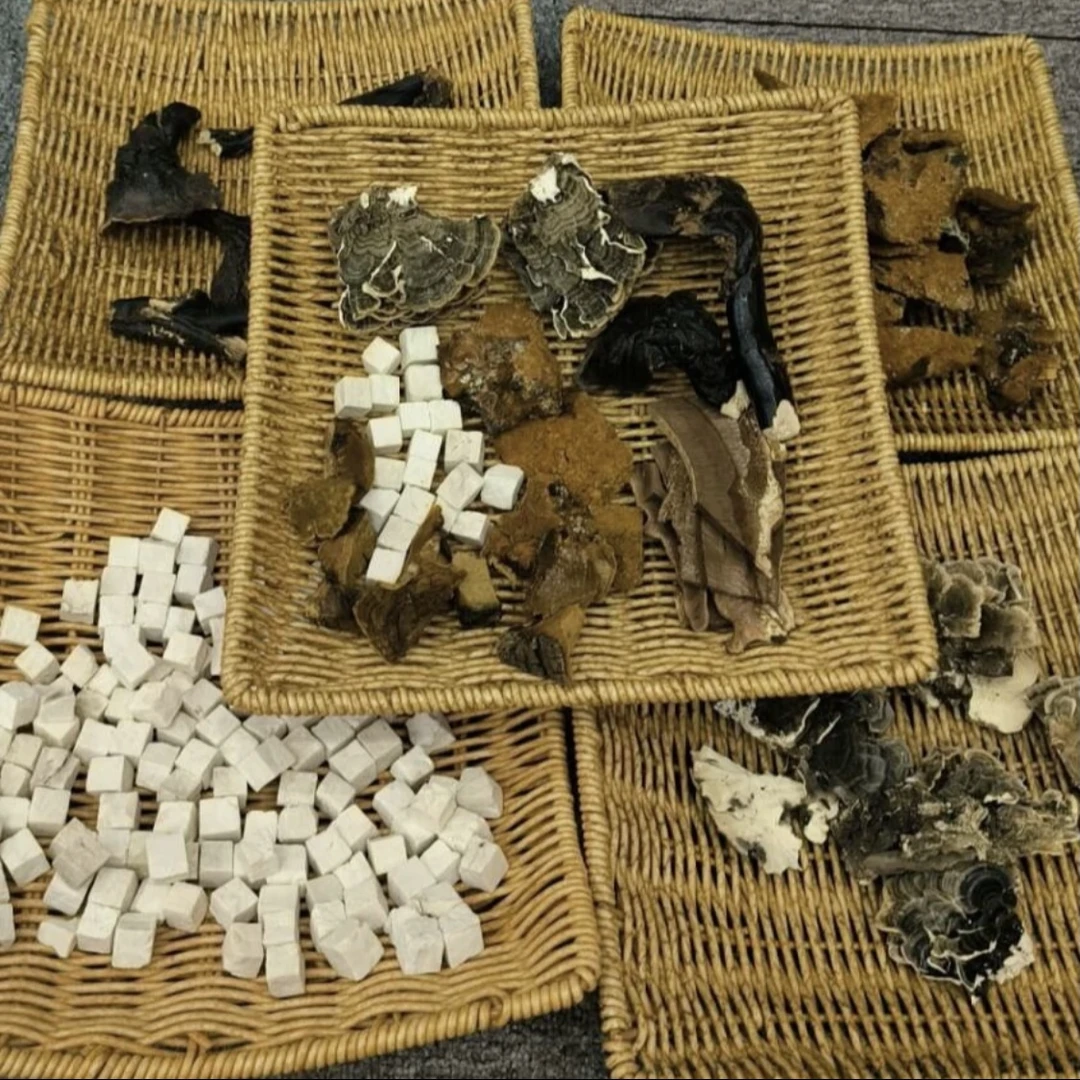 官方庄 五*灵芝 散装农产品