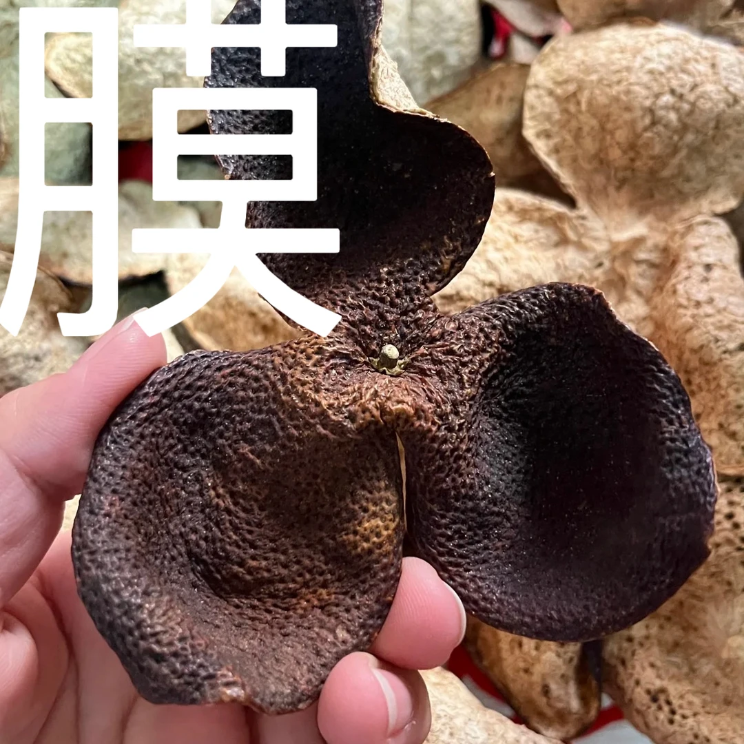 彬哥推荐 陈皮代  膜