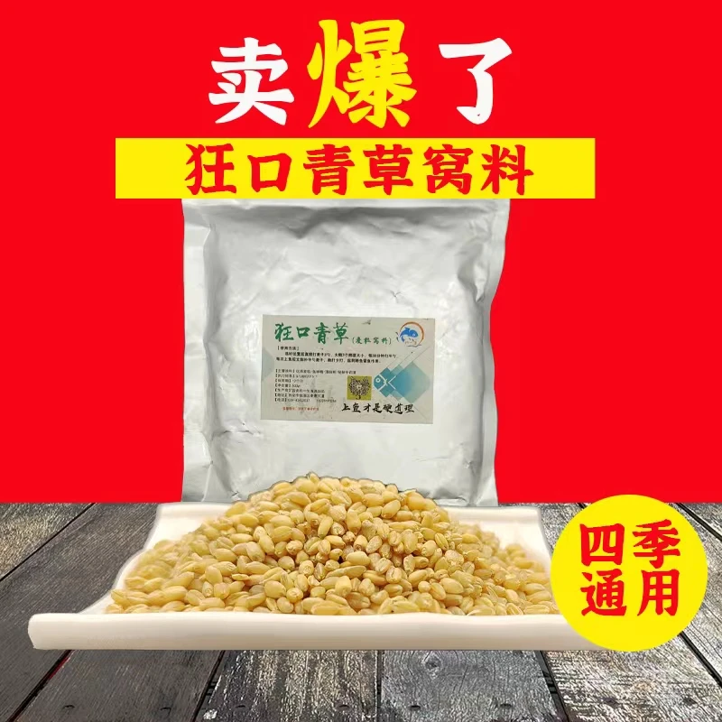 草鱼青鱼麦粒窝料黑坑青鱼草鱼野钓湖库爆护窝料饵料