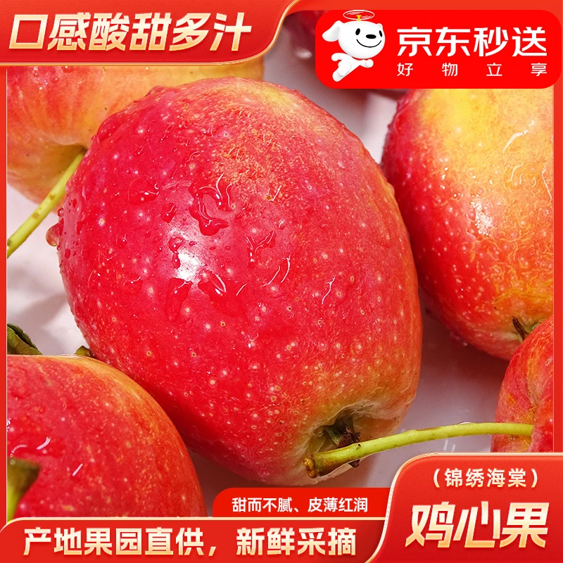 内蒙通辽特产鸡心果酸甜多汁新鲜采摘新鲜发货4.8-5斤