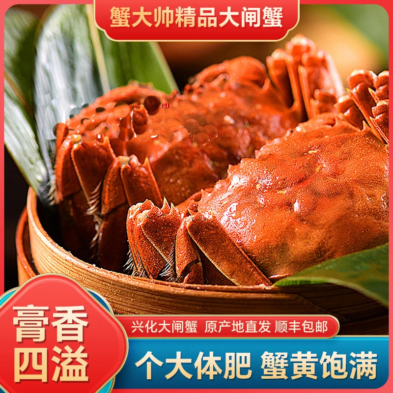 【活蟹现发】3两母蟹4只 4两公蟹4只大闸蟹鲜活活蟹 兴化红膏蟹