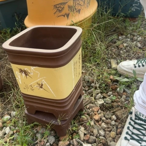 红陶20CM（含）-50CM（不含）