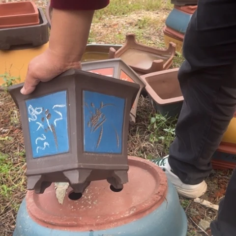 红陶20CM（含）-50CM（不含）