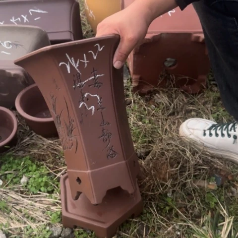 红陶20CM（含）-50CM（不含）