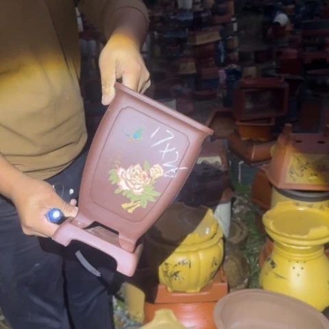 红陶20CM（含）-50CM（不含）