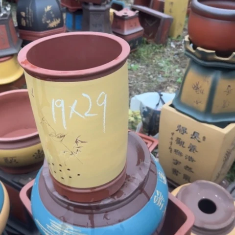 红陶20CM（含）-50CM（不含）