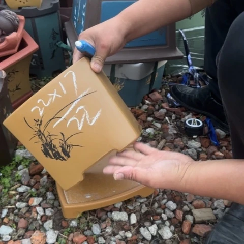 红陶20CM（含）-50CM（不含）