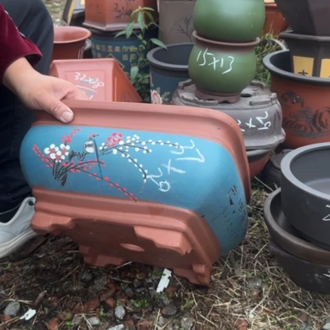红陶20CM（含）-50CM（不含）