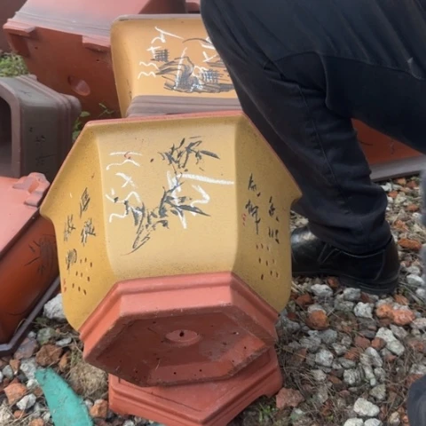 红陶20CM（含）-50CM（不含）