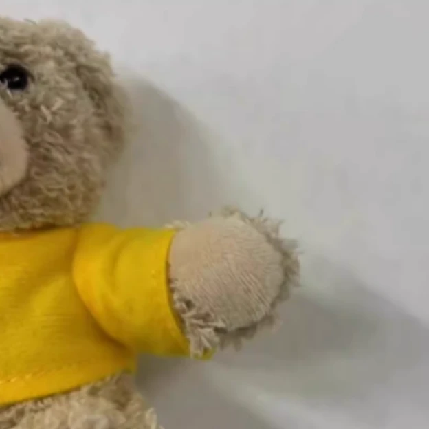 小欧啊~小熊宝宝包包