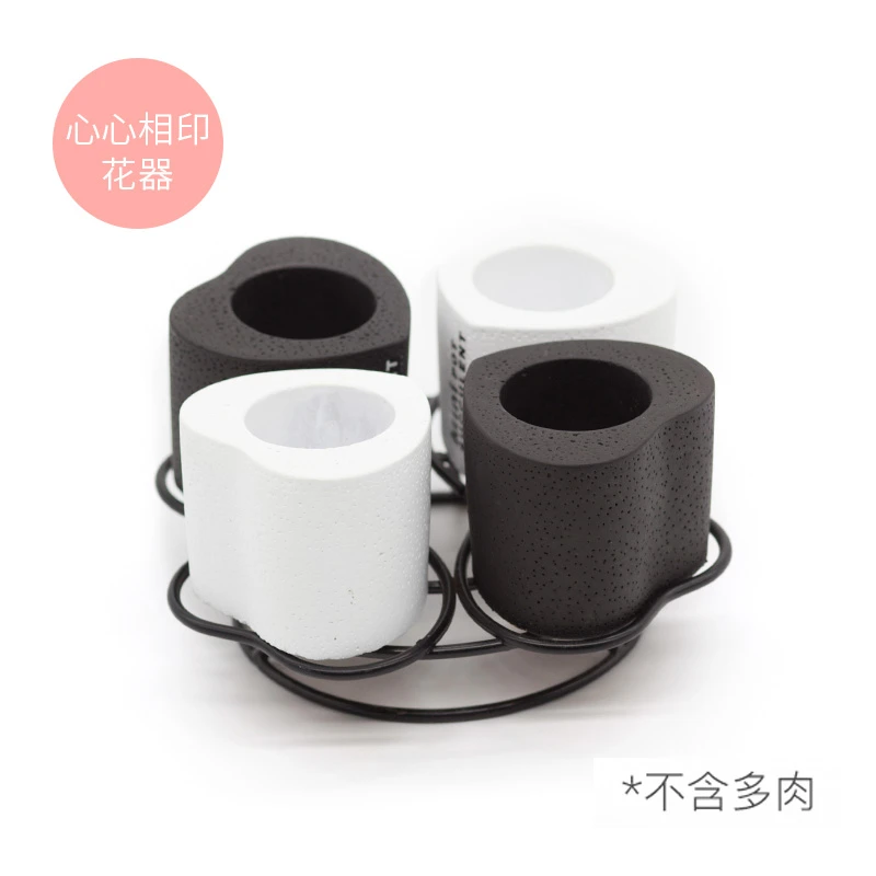 IZIU【心心相印】无土多肉套装