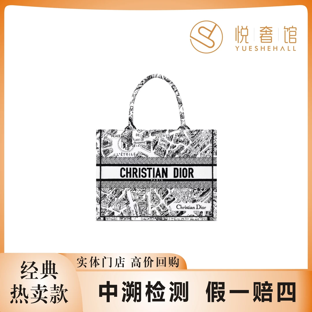 99新 DIOR/迪奥 悦奢甄选/巴黎地图/中号/托特包/单肩包/芯片