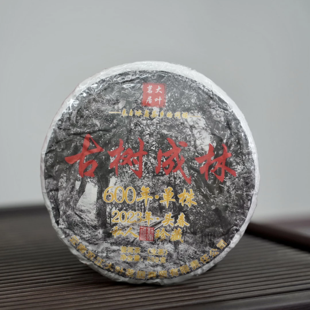 2023年古树成林单株春 200克饼茶