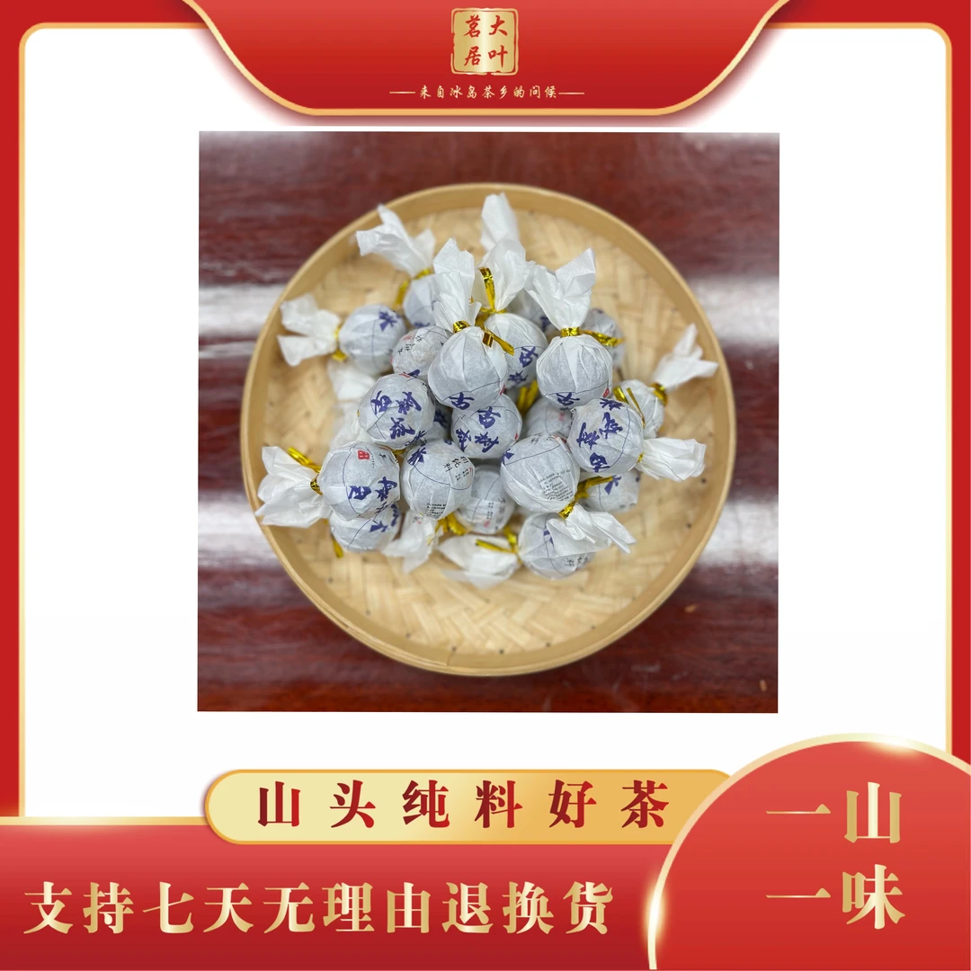 2023年古树成林古树龙珠春茶