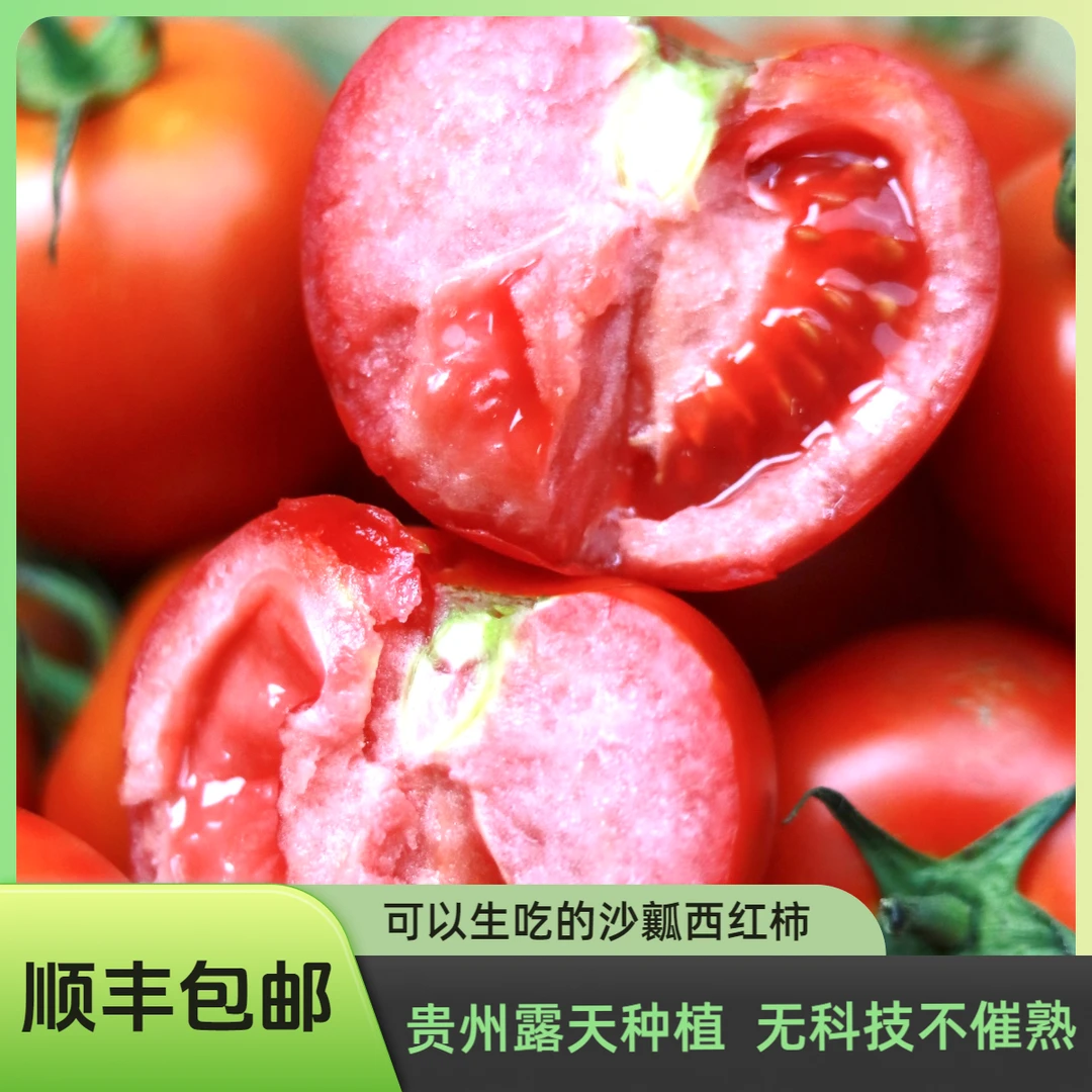 正宗贵州高山露天种植沙瓤西红柿新鲜水果番茄自然熟