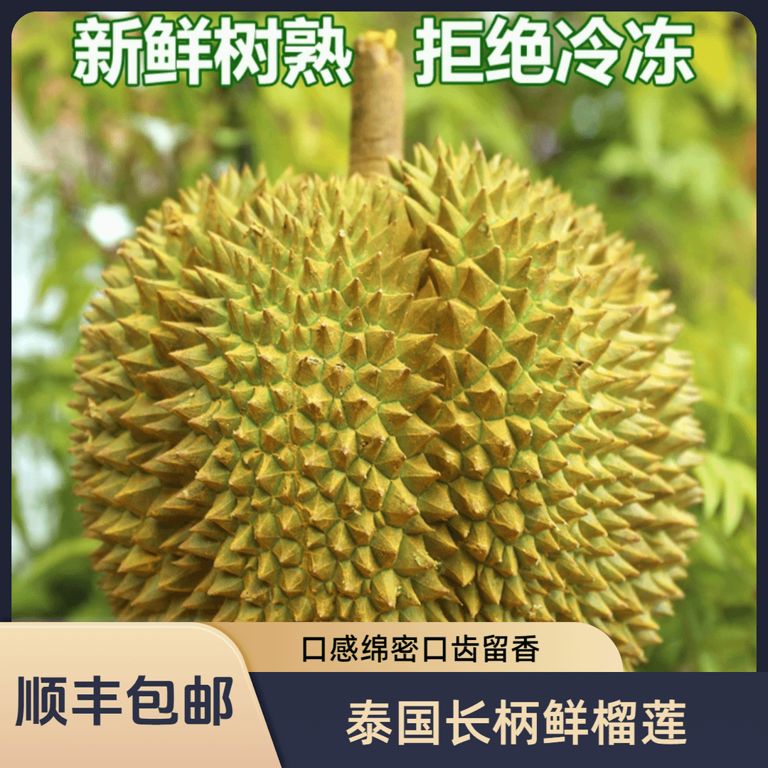 【猫哥顺丰包邮】一物一拍云贵川渝【泰国长柄榴莲】生切不售后