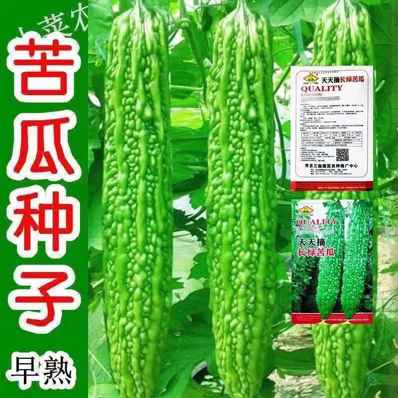 长绿苦瓜种子批发高产蔬菜种孑四季播瓜果菜种子阳台蔬菜种子大全
