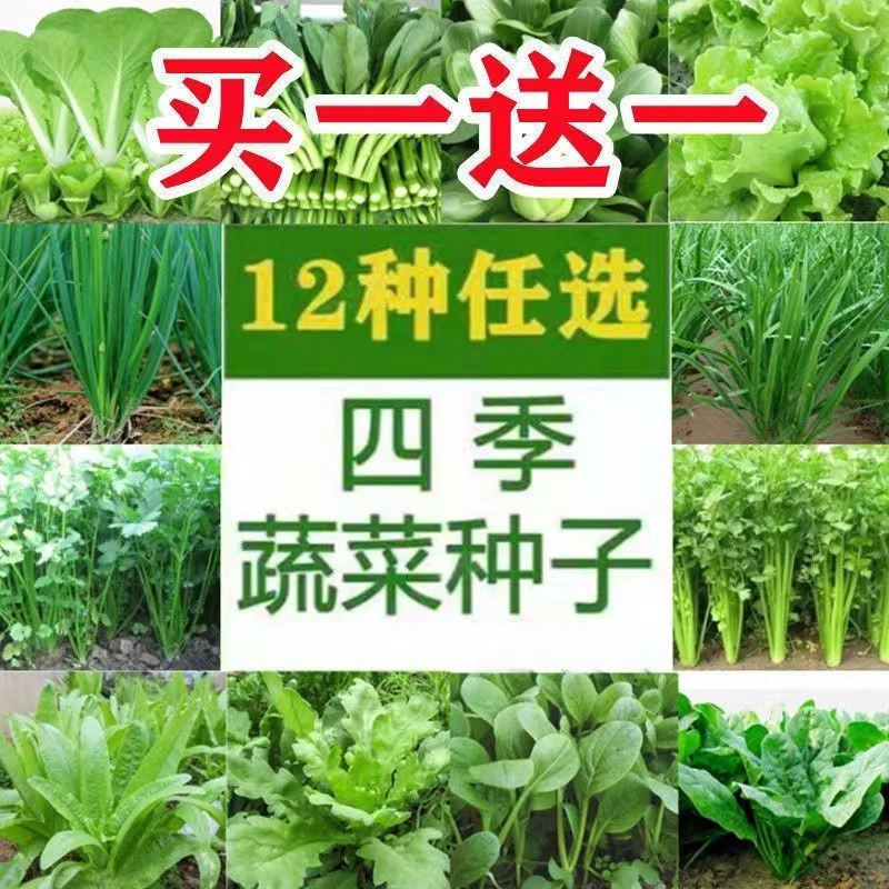 12种蔬菜种套餐四季播种室内阳台绿植盆栽庭院混装秋冬季蔬菜种子