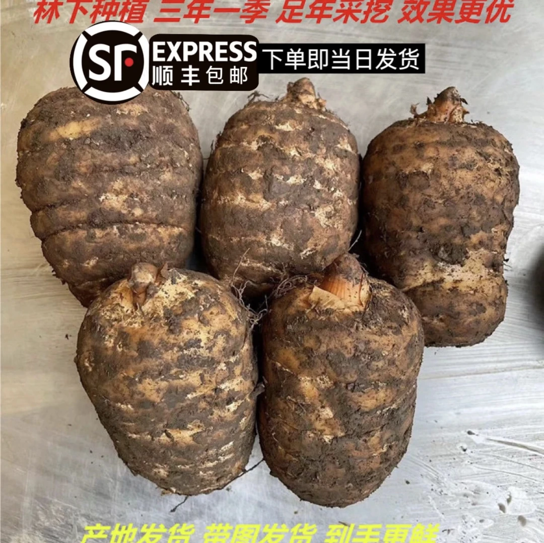 【顺丰包邮】正宗云南昭通小草坝高山乌麻自然生长1-3-5斤原产地