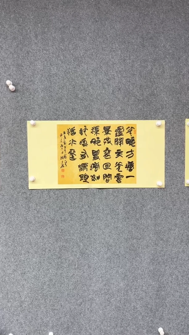 【闪购商品】书法陈述林中书协 中国甲骨文会员69*34