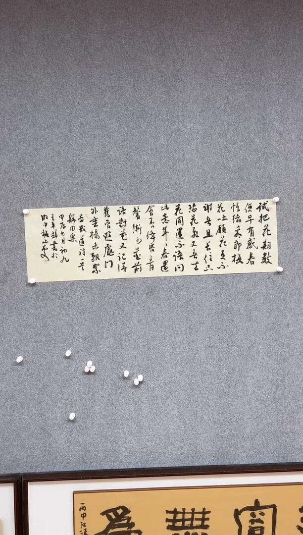 【闪购商品】书法王平辉 中书协 湖南书协118*34