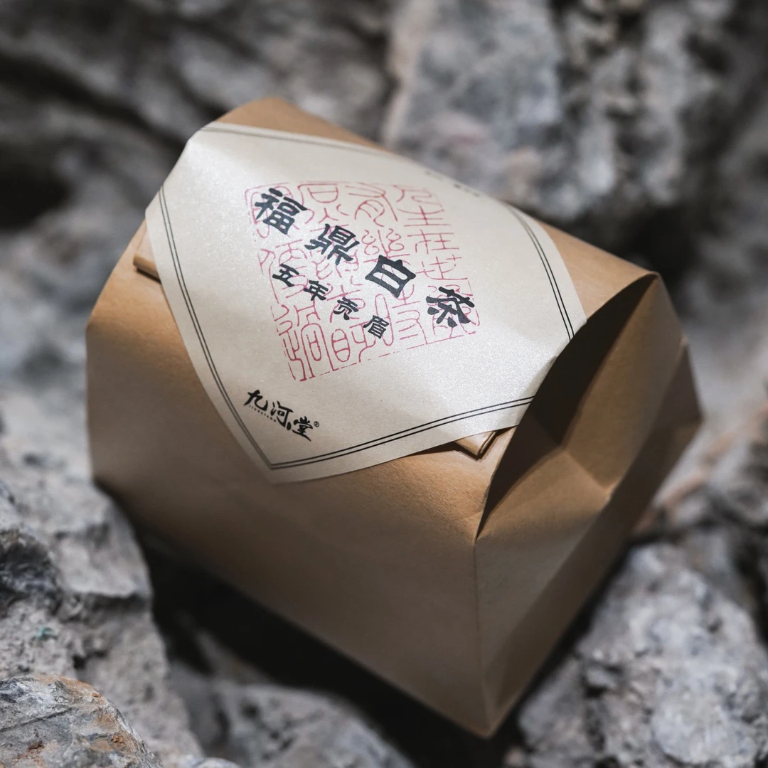 九河堂福鼎六年陈 老白茶50g