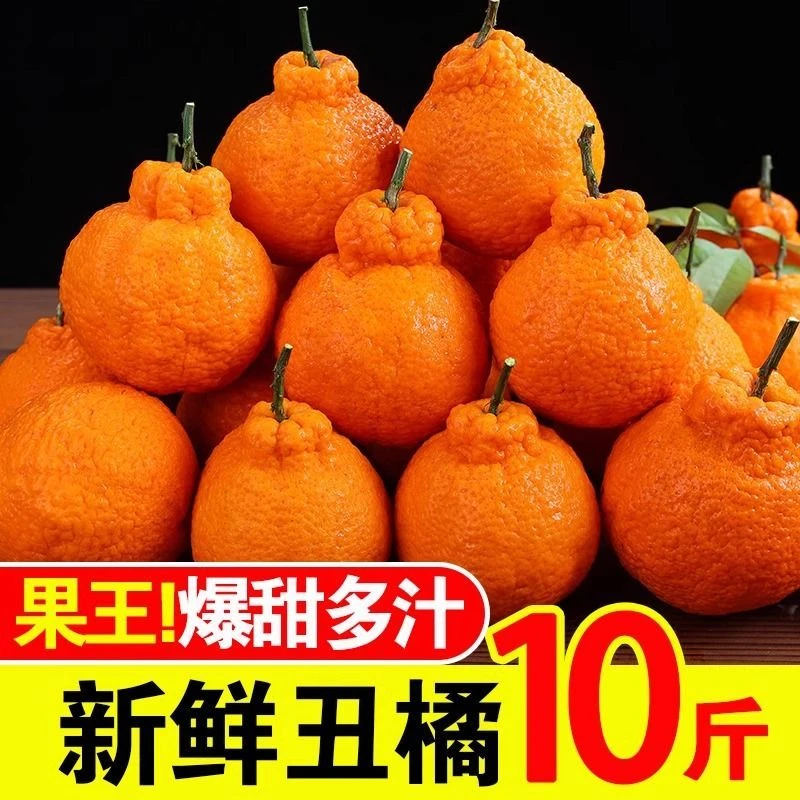 四川不知火丑橘新鲜水果10斤当季甜丑八怪柑桔子粑粑耙耙橘子整箱