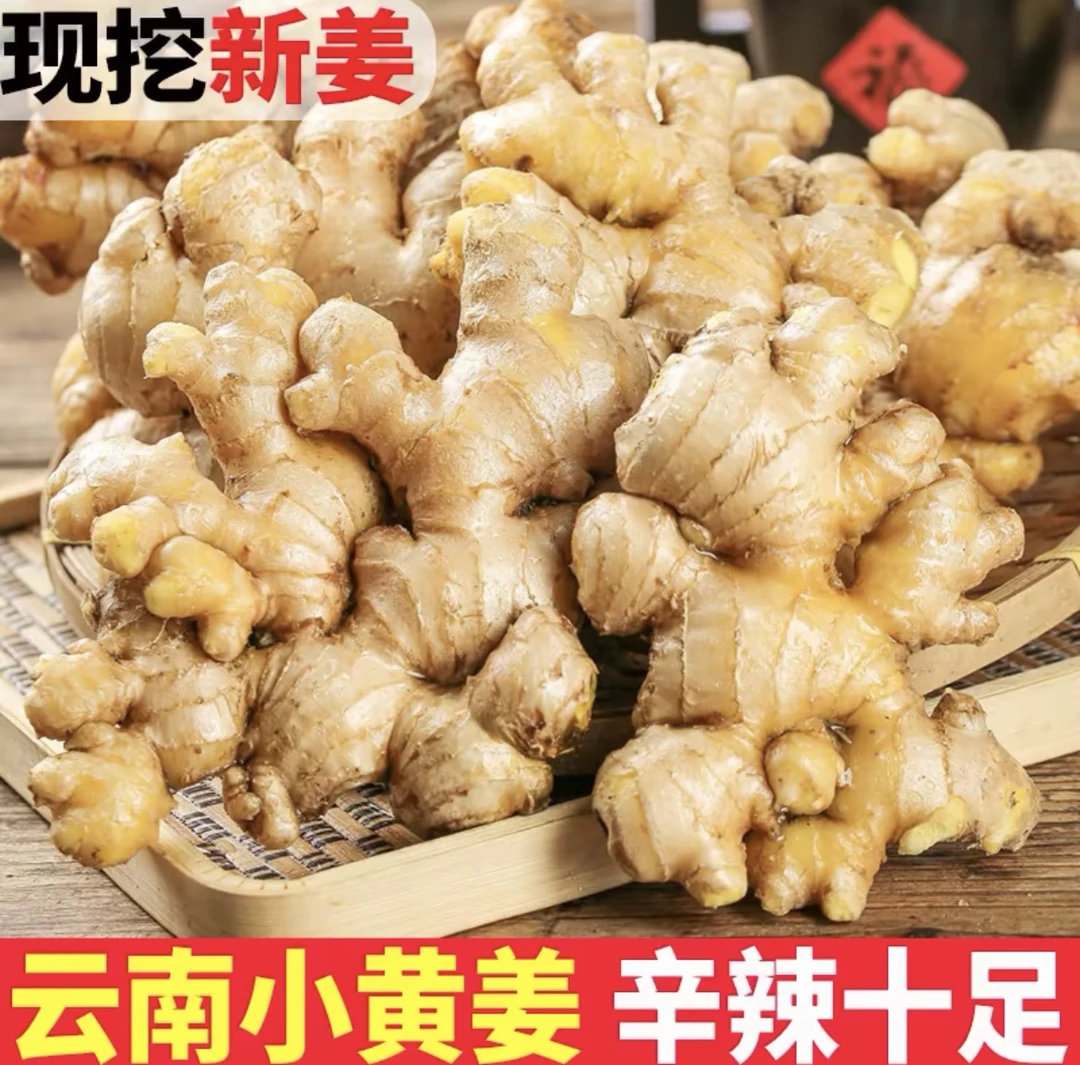 正宗云南小黄姜山地种植新鲜现挖老姜生姜3斤/5斤/9斤产地直发