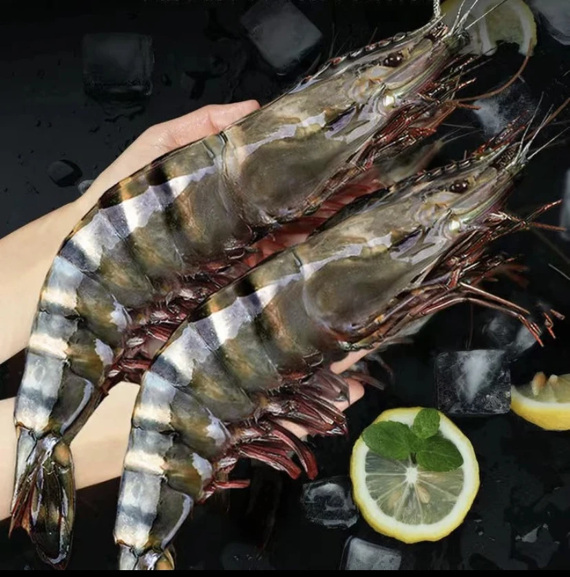 【新疆包邮】精选黑虎虾新鲜速冻