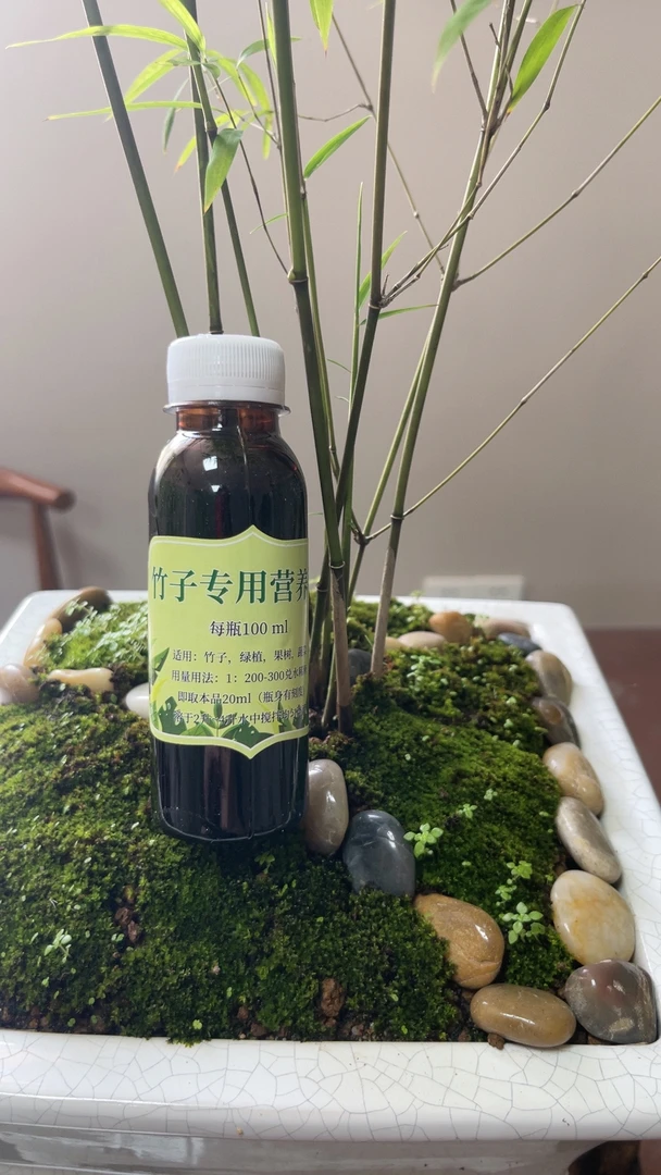竹子专用营养液-竹类营养液