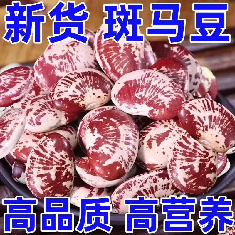 5斤大降】斑马豆新鲜豆农家荷包豆农科院卟肾五谷营养汤