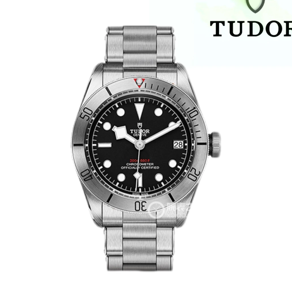 95新 TUDOR/帝舵 帝舵/碧湾/41/单