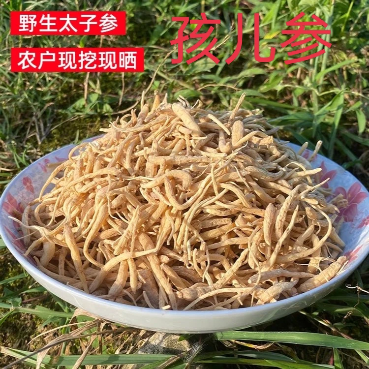 [儿童适用]太子参双批七米参四叶参孩儿参鲜品干品人参干货