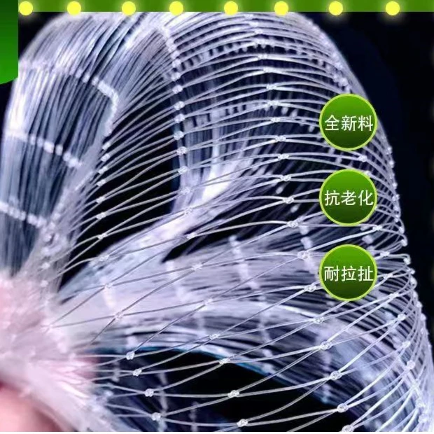 果园进口防鸟网防雹防鸟害网具大棚防护耐用网养殖网防鸟用的好网
