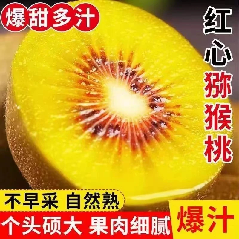 湘西红心猕猴桃新鲜上市应季新鲜水果猕猴桃大果香甜一整箱包邮价