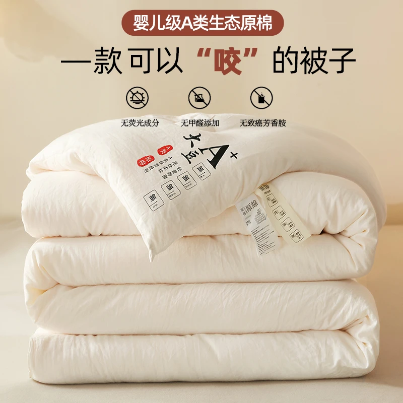 新款A类母婴级生态原大豆被冬被被子被芯春秋被四季款家用被芯