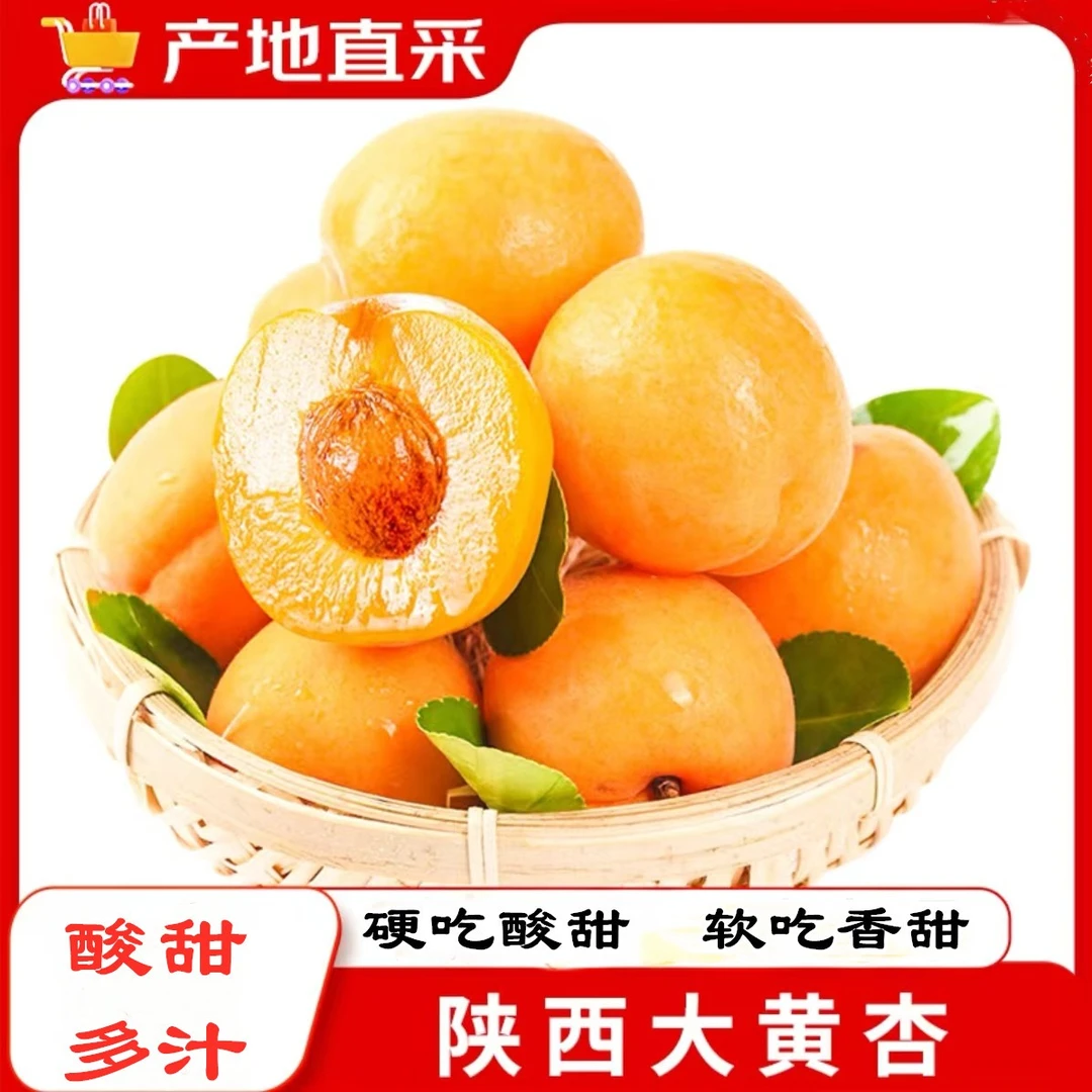 陕西头茬大黄杏新鲜肉厚果香清甜酸甜4.5包邮大黄杏多汁产地