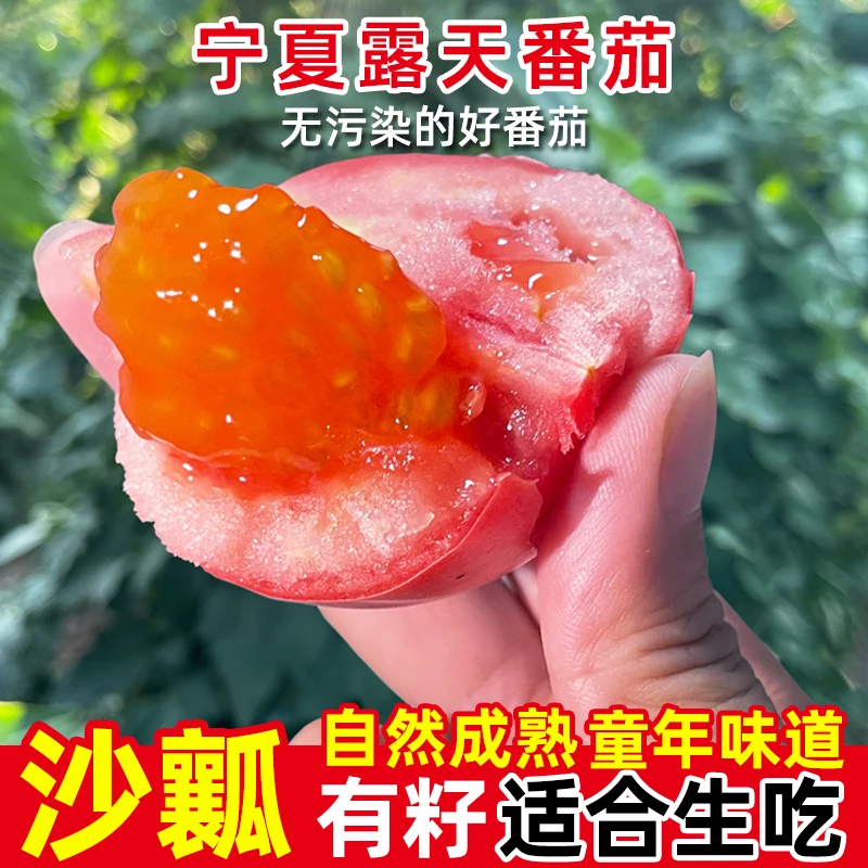宁夏露天西红柿新鲜自然熟老品种生吃水果番茄沙瓤有籽非普罗旺斯