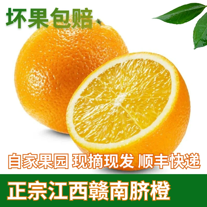 正宗赣南脐橙10斤不打蜡不催甜新鲜水果皮薄果园现摘直出鲜甜脐橙