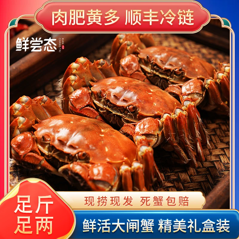 【活蟹】江苏大闸蟹全母蟹3两 4-10只去绳净重甄选原产地称重发货
