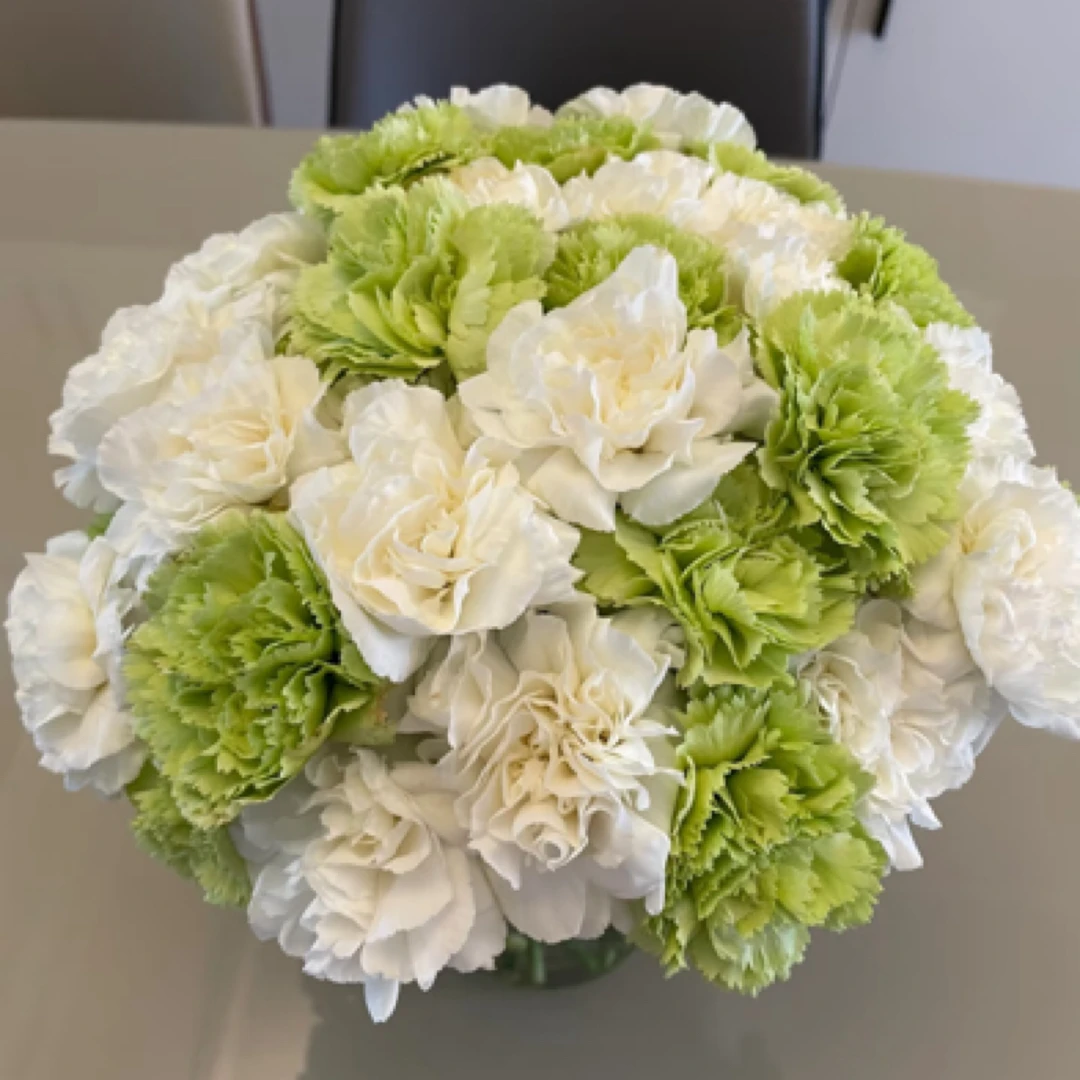 【香羿鲜花】白色/绿色康乃馨混搭/全场任意满两单及以上包邮
