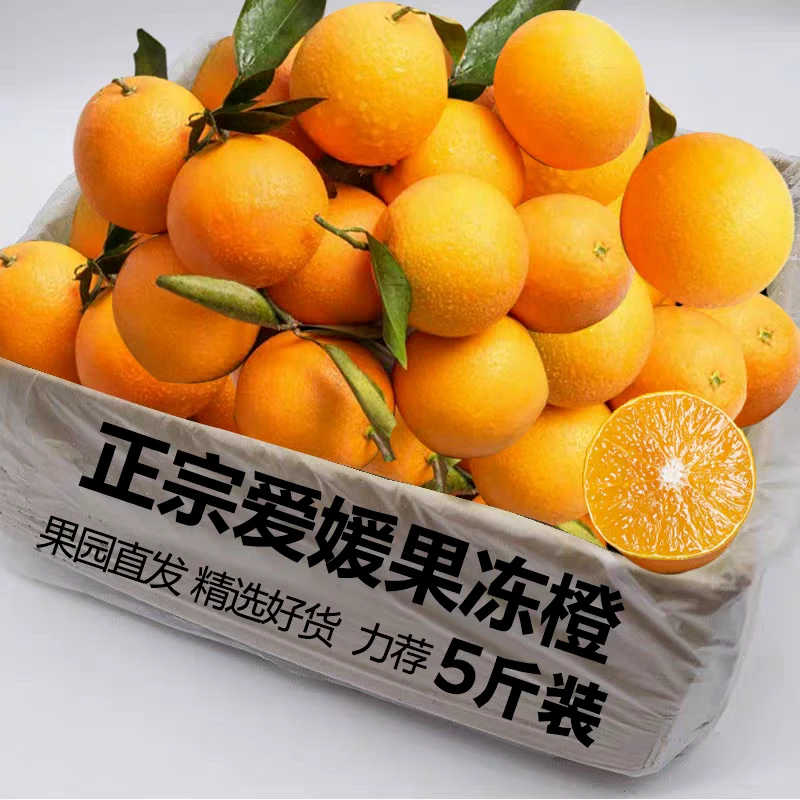 四川爱媛38号果冻橙整箱橙子新鲜薄皮水果超甜皮薄爆汁冰糖橙柑橘