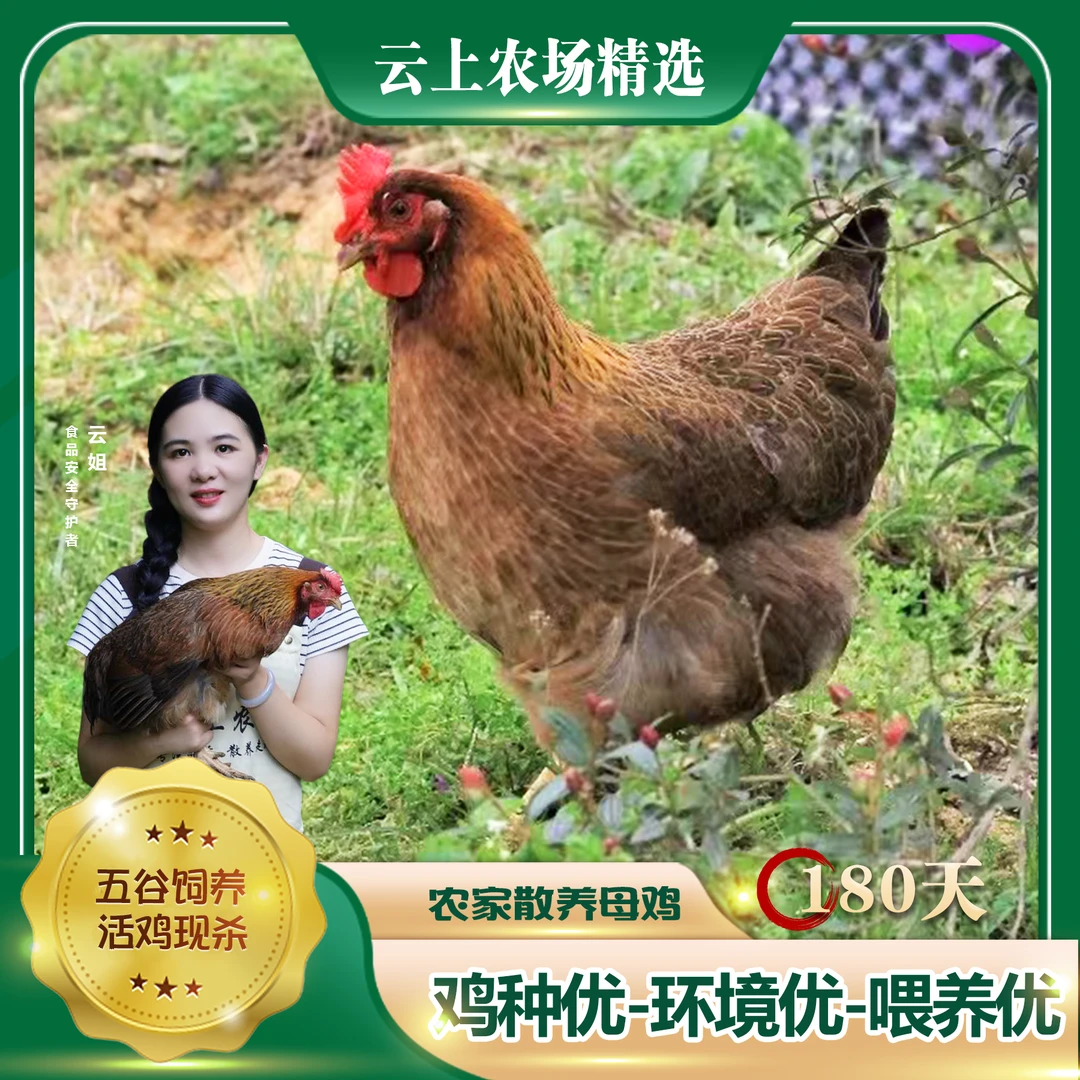 【2周年】一鸡四折，180天五谷杂粮喂养，农村散养土鸡 包冰率10%以内